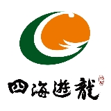 四海遊龍